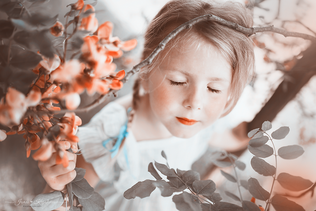 DSC-5541-02-dreaming.png